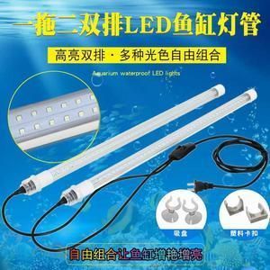 龍魚(yú)燈管應(yīng)該放在哪個(gè)部位：在飼養(yǎng)龍魚(yú)的過(guò)程中，燈管的擺放位置是非常重要的