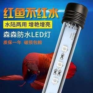 龍魚(yú)燈管應(yīng)該放在哪個(gè)部位：在飼養(yǎng)龍魚(yú)的過(guò)程中，燈管的擺放位置是非常重要的