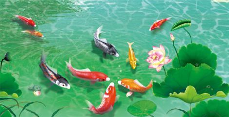 龍魚背景圖墻紙高清，龍魚壁紙設(shè)計教程高清龍魚壁紙排行高清龍魚壁紙排行