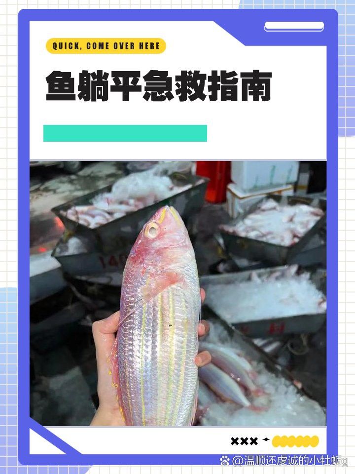 金龍魚換水后多久恢復活力？ 金龍魚換水后多久恢復活力？ 龍魚百科 第7張