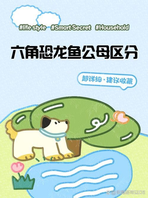 恐龍魚和恐龍王魚區別圖片對比大全