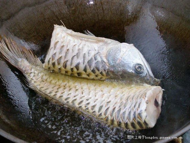 寧波龍魚怎么燒才好吃竅門圖片 寧波龍魚怎么燒才好吃竅門圖片 龍魚百科 第19張