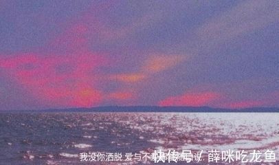 龍魚宣傳文案怎么寫：如何撰寫龍魚的宣傳文案 龍魚宣傳文案怎么寫：如何撰寫龍魚的宣傳文案 龍魚百科 第1張