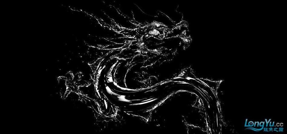 龍魚缸背景圖片高清圖大全 龍魚缸背景圖片高清圖大全 龍魚百科 第21張