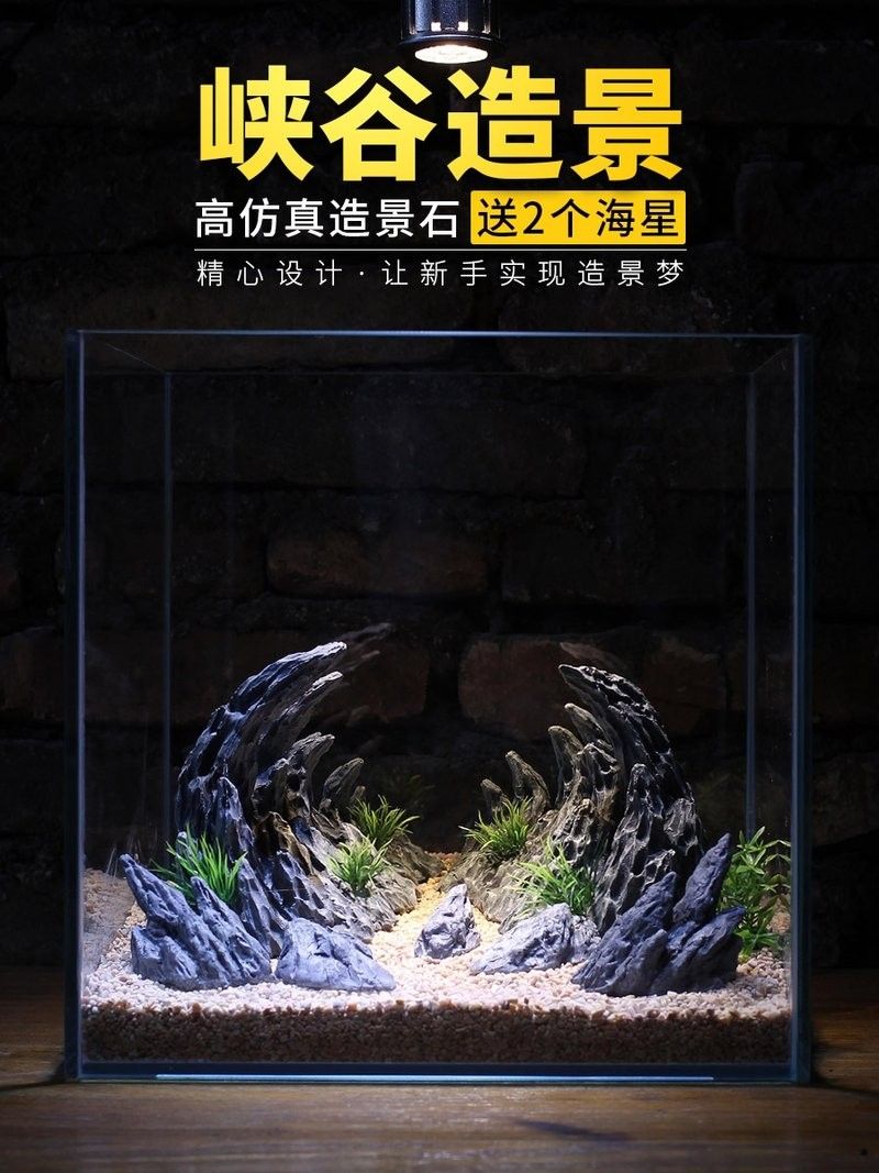 龍魚缸背景圖片高清圖大全 龍魚缸背景圖片高清圖大全 龍魚百科 第30張