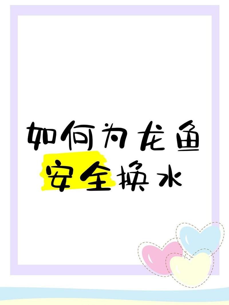 龍魚換水時應該注意哪些事項？