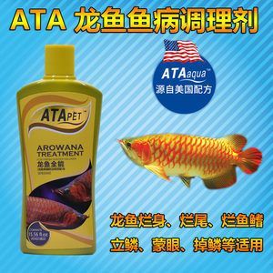 龍魚立鱗病的土霉素治療（土霉素可以治療龍魚立鱗病嗎？）
