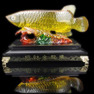 禮品金龍魚，金龍魚作為禮品的適宜性與文化意義