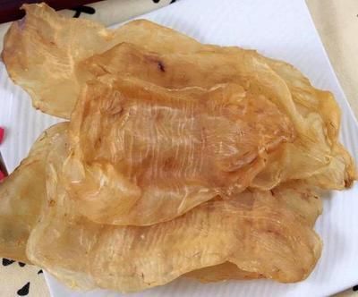 金龍魚花膠好嗎？金龍魚花膠的營養(yǎng)價(jià)值和功效：金龍魚花膠在口感上具有特色而且營養(yǎng)價(jià)值和功效和功效 金龍魚花膠好嗎？金龍魚花膠的營養(yǎng)價(jià)值和功效：金龍魚花膠在口感上具有特色而且營養(yǎng)價(jià)值和功效和功效 龍魚百科 第3張
