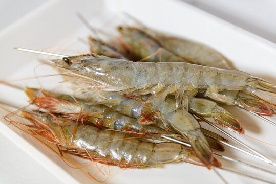 龍魚可以吃青蝦，但在喂食過程中需要注意青蝦的頻率：龍魚可以吃青蝦