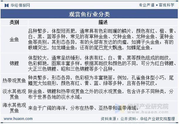觀賞魚市場行情分析