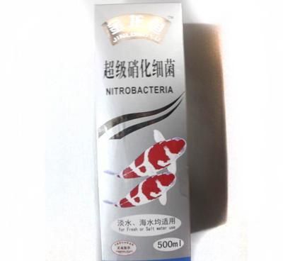 金龍魚用什么魚缸：養金龍魚的注意事項 金龍魚用什么魚缸：養金龍魚的注意事項 龍魚百科 第2張