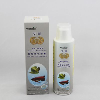 金龍魚用什么魚缸：養金龍魚的注意事項 金龍魚用什么魚缸：養金龍魚的注意事項 龍魚百科 第3張