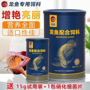 金龍魚用什么魚缸：養金龍魚的注意事項 金龍魚用什么魚缸：養金龍魚的注意事項 龍魚百科 第5張