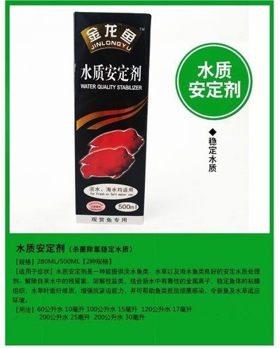 金龍魚用什么魚缸：養金龍魚的注意事項 金龍魚用什么魚缸：養金龍魚的注意事項 龍魚百科 第9張