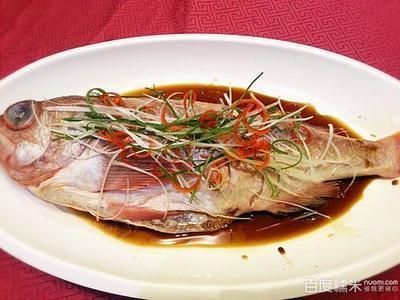 雷龍魚吃什么飼料長得快：雷龍魚喂食頻率調整方法雷龍魚喂食頻率調整方法