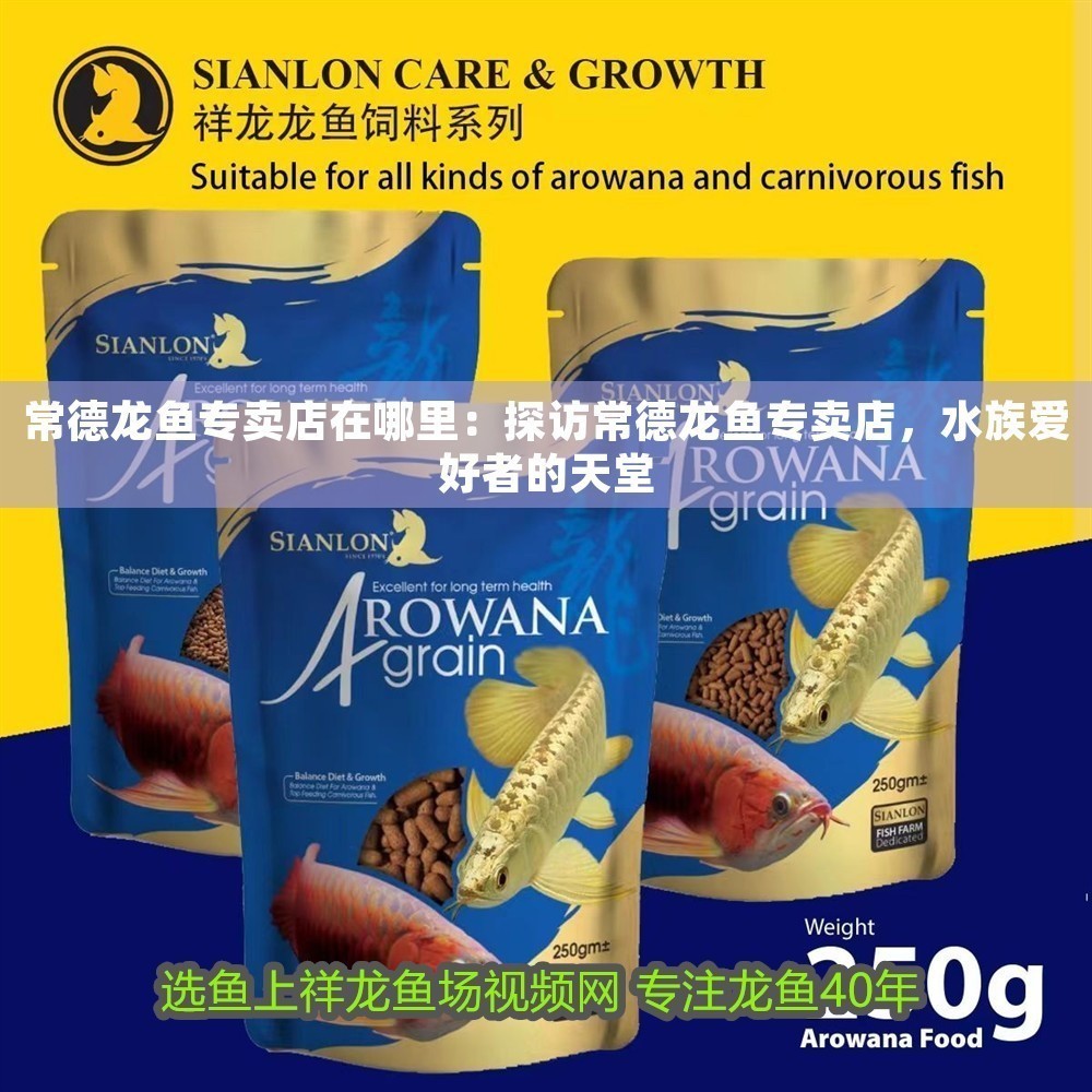 常德龍魚專賣店在哪里：探訪常德龍魚專賣店，水族愛好者的天堂