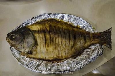 銀龍魚(yú)死了圖片（銀龍魚(yú)死了圖片是怎么回事）