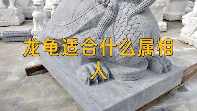 生肖馬佩戴龍龜有哪些好處？