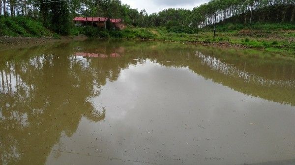 桂林龍魚(yú)養(yǎng)殖基地電話地址查詢(xún)