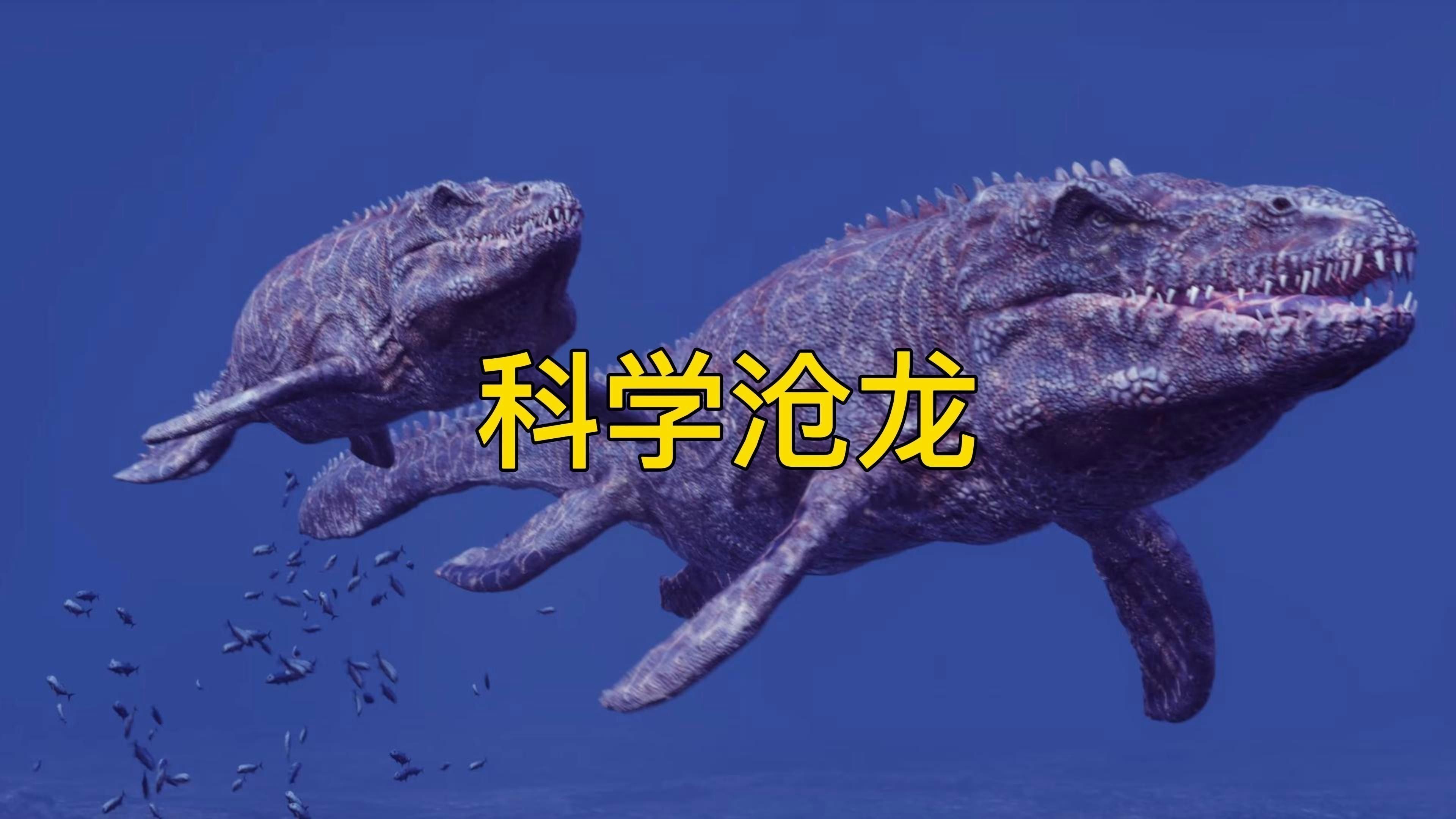 金龍魚爬背期間需要哪些營養物質：金龍魚爬背期間的營養需求