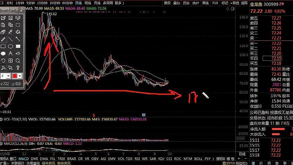 金龍魚是深圳股還是創業股