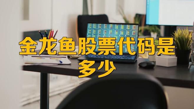 金龍魚是深圳股還是創業股