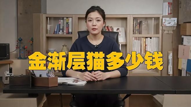 金漸層貓多少錢一只 金漸層貓多少錢一只 龍魚百科 第6張
