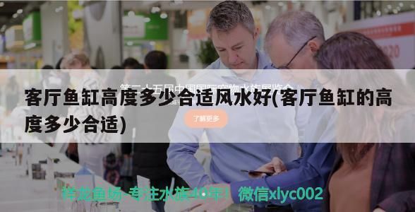 龍魚和什么魚混養最好 龍顛論壇：龍魚和什么魚養在一起最合適 龍魚和什么魚混養最好 龍顛論壇：龍魚和什么魚養在一起最合適 龍魚百科 第1張