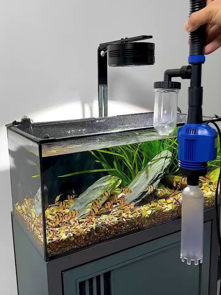 可麗愛魚缸糞便收集器哪個型號好 可麗愛魚缸糞便收集器哪個型號好 龍魚百科 第5張