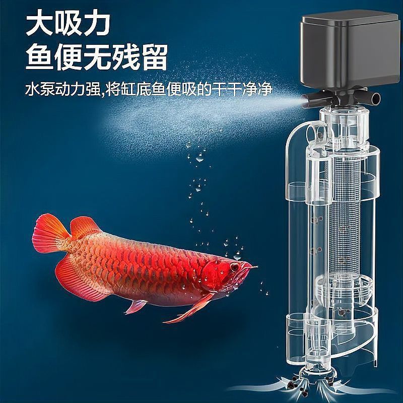 可麗愛魚缸糞便收集器哪個型號好 可麗愛魚缸糞便收集器哪個型號好 龍魚百科 第2張