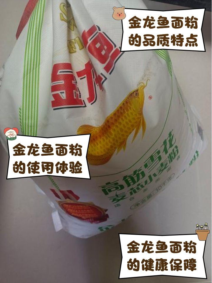 金龍魚掛面有添加劑嗎