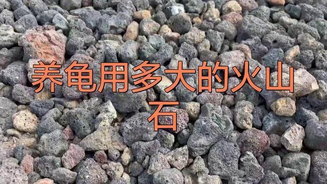 哪種石頭最適合烏龜
