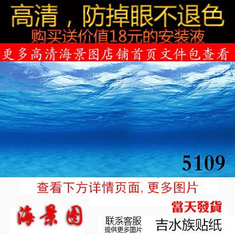 龍魚掉眼還有養的價值嗎：龍魚掉眼后的日常護理要點
