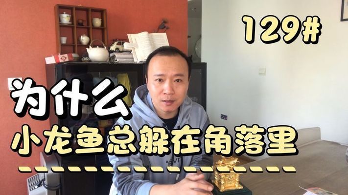 龍魚愛躲一個角落怎么回事：為什么龍魚愛躲在一個角落里？