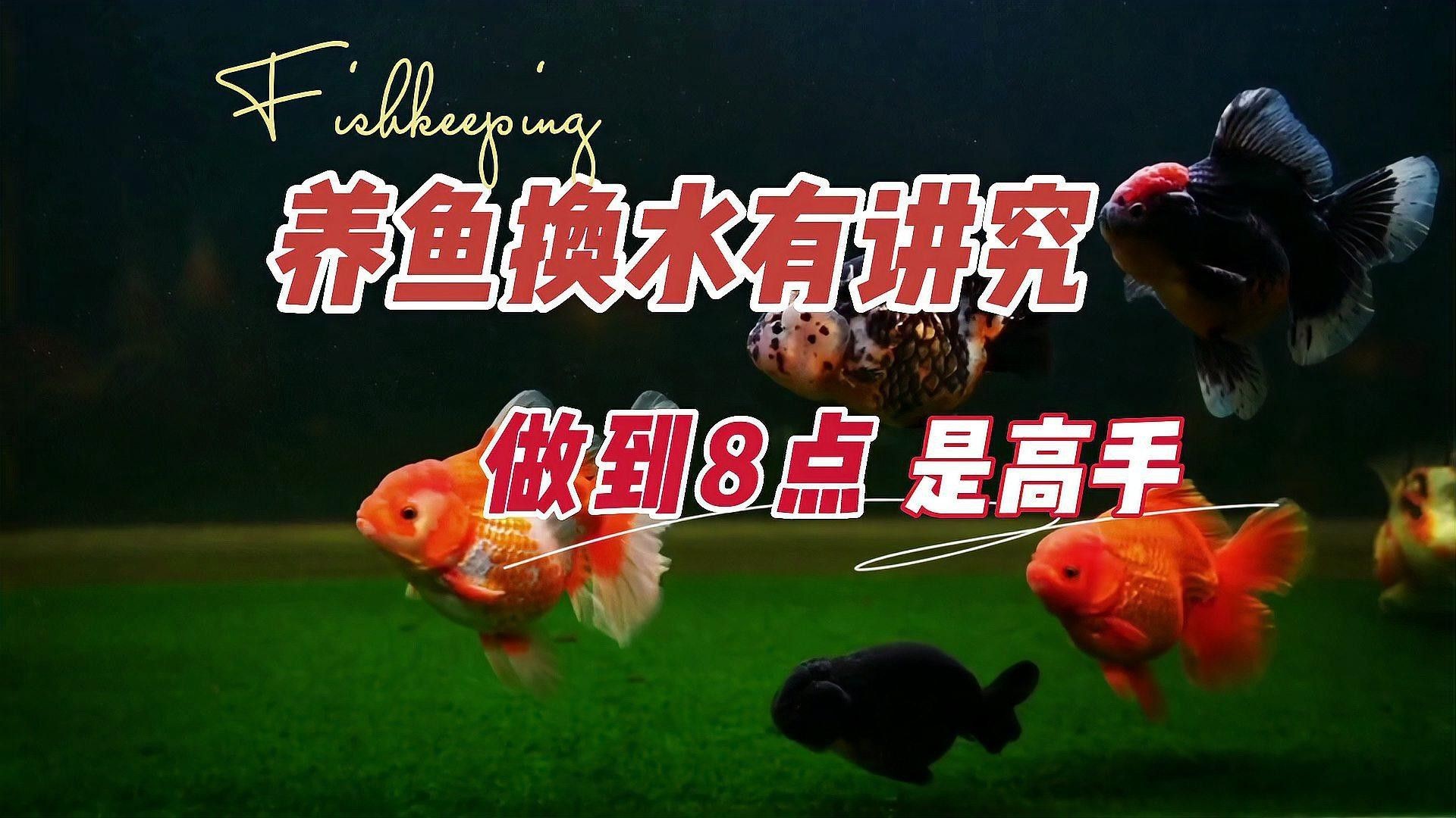 換水時如何保持水溫穩(wěn)定？