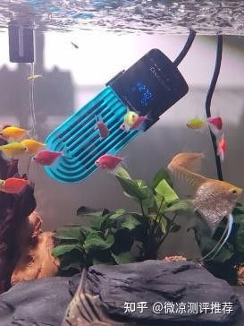 換水時如何保持水溫穩(wěn)定？