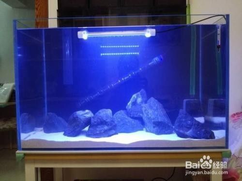 魚缸水發黃渾濁的解決辦法，如何正確使用活性炭凈化魚缸水