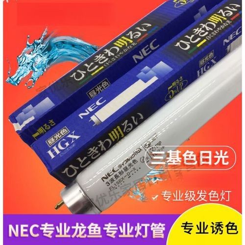 龍魚用什么燈管最好看