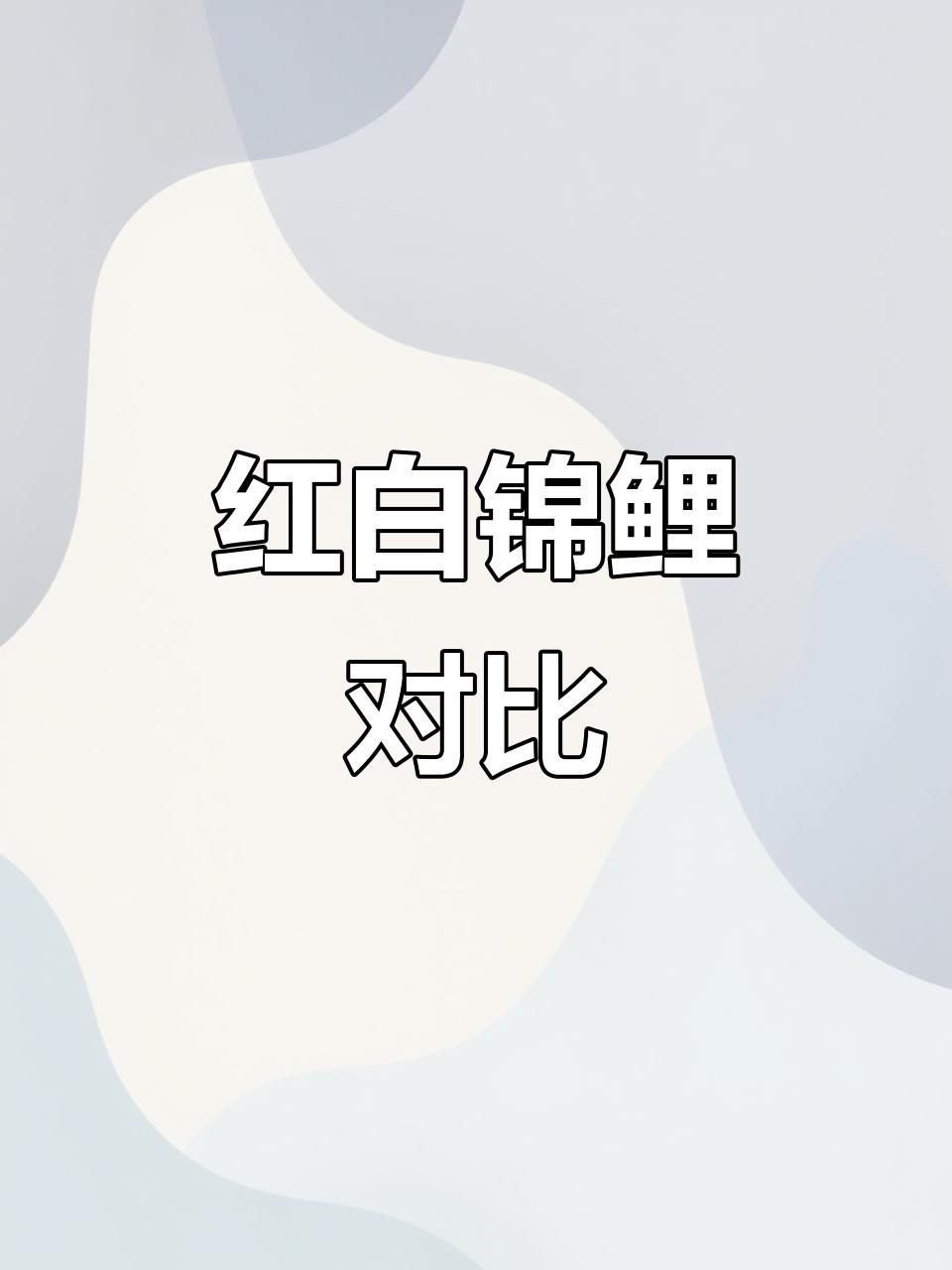 錦鯉三色和紅白哪個好 龍魚百科 第3張 錦鯉三色和紅白哪個好 錦鯉三色和紅白哪個好 龍魚百科 第3張