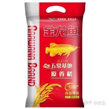 金龍魚2024年最建議買嗎知乎，金龍魚2024年業績如何？ 金龍魚2024年最建議買嗎知乎，金龍魚2024年業績如何？ 龍魚百科 第4張