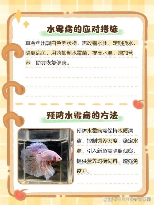 金龍魚身上有白色絮狀物圖片