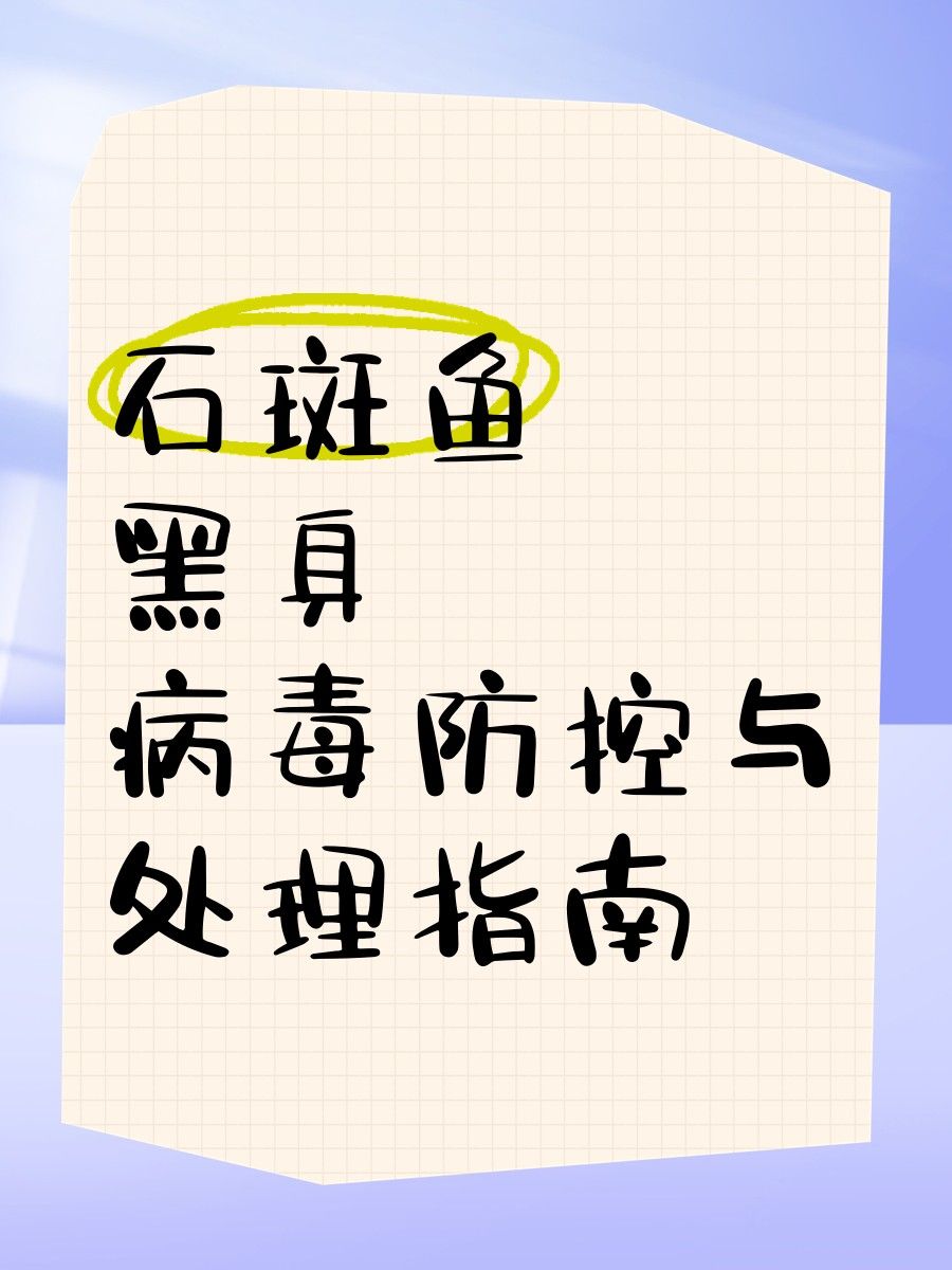 龍躉石斑魚的市場供應穩定嗎？ 龍躉石斑魚的市場供應穩定嗎？ 龍魚百科 第7張