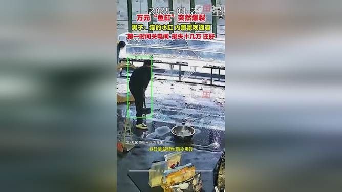 可麗愛魚缸爆缸率如何