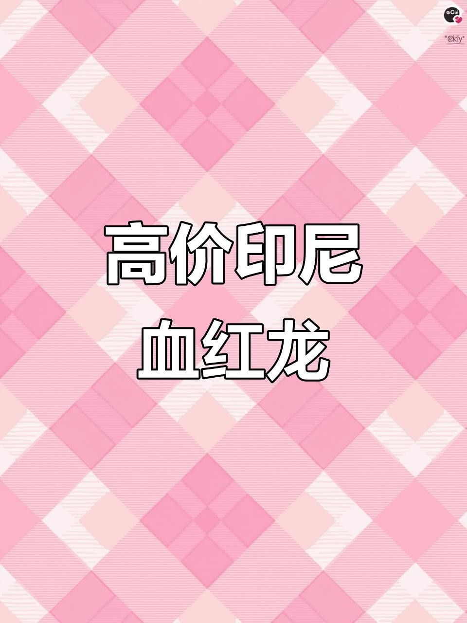 血紅龍的價(jià)格為何如此昂貴？