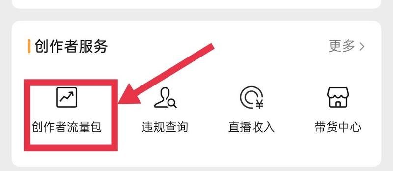 龍龍視頻如何盈利？