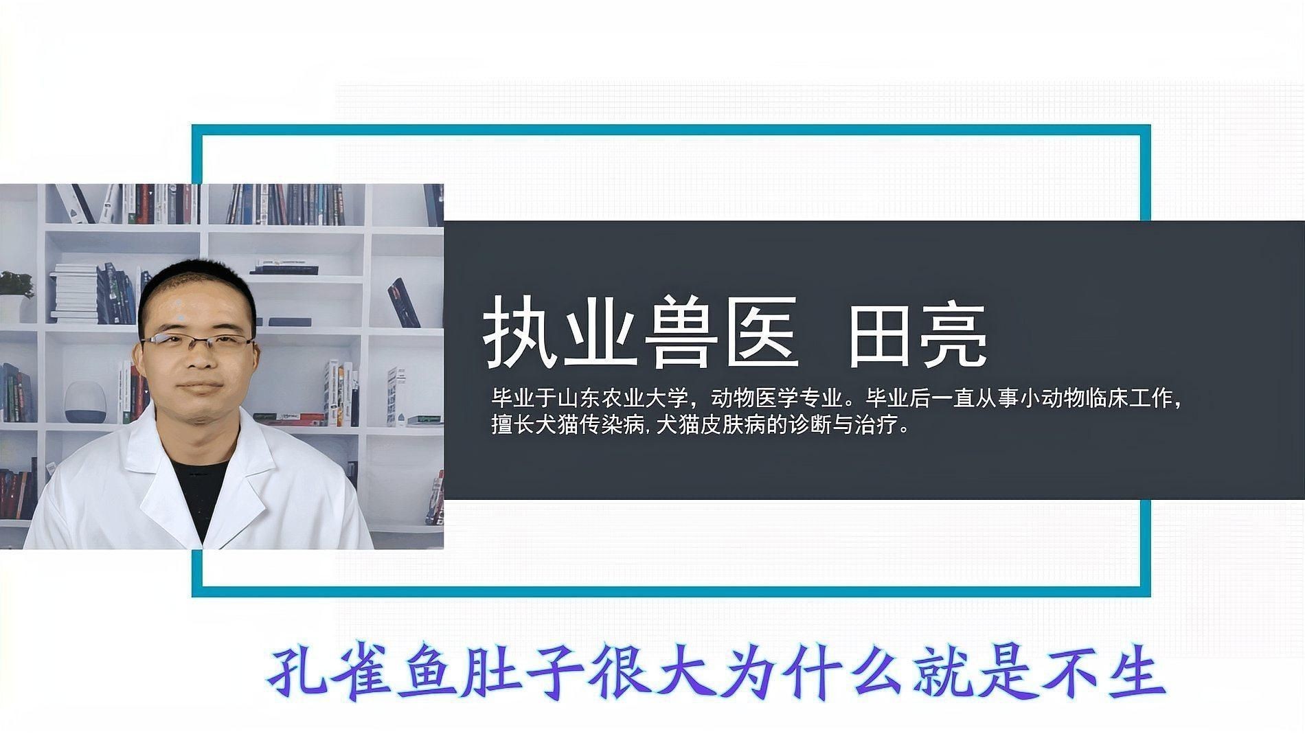 孔雀魚為什么總憋著不生