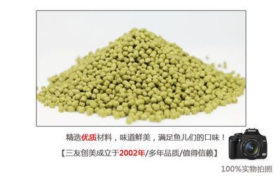 斑馬魚和曼龍魚哪個(gè)好養(yǎng)：斑馬魚與曼龍魚，兩種迷人觀賞魚的比較與飼養(yǎng)指南