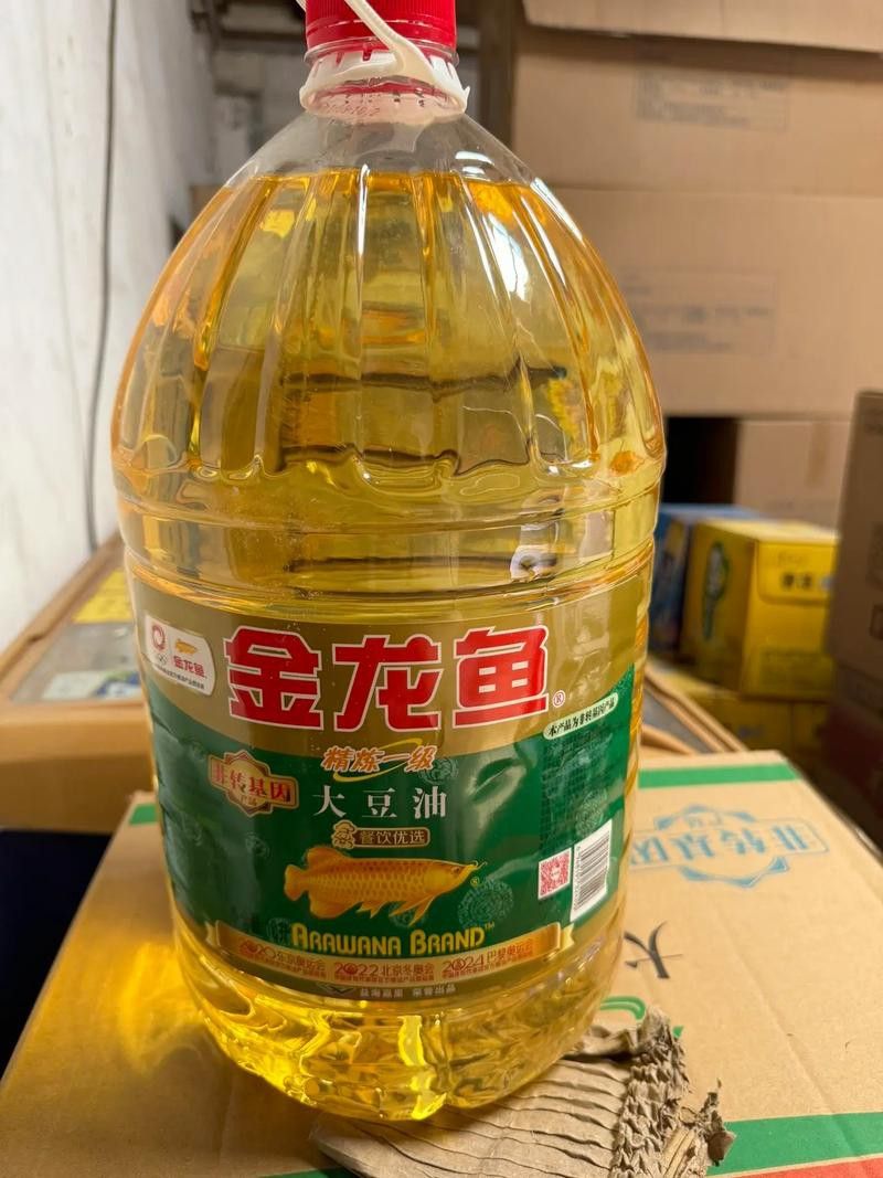 金龍魚4l