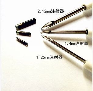 龍魚芯片哪里查（龍魚芯片是一種特殊授權的生物電子標簽）